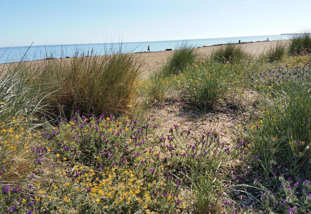 Jardines De Denia 3 Villa Dış mekan fotoğraf